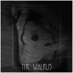The Walruz : The Walrus